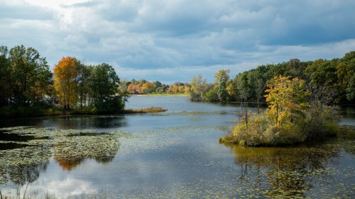 A serene lake surrounded by trees with autumn foliage under a cloudy sky.