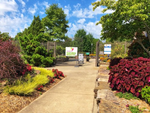 A pathway leads to a garden entrance with colorful flowers and greenery under a blue sky. A sign reads "Tuesday Night."
