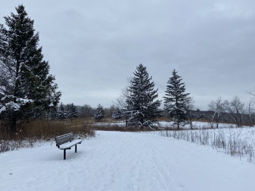 A snowy path leads through a winter landscape with evergreen trees and a bench in the foreground. Overcast sky.