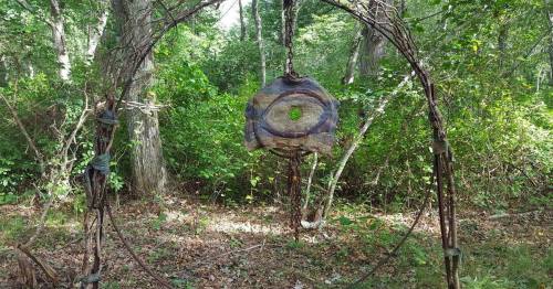 A circular sculpture made of vines and metal hangs in a wooded area, surrounded by greenery and fallen leaves.