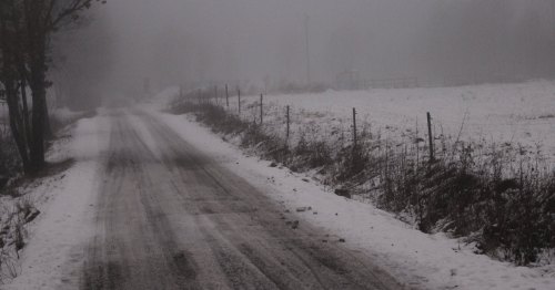 A foggy winter road lined with snow and bare trees, creating a serene yet eerie atmosphere.