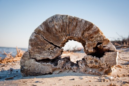 A weathered piece of driftwood with a circular hole, resting on a sandy beach under a clear blue sky.
