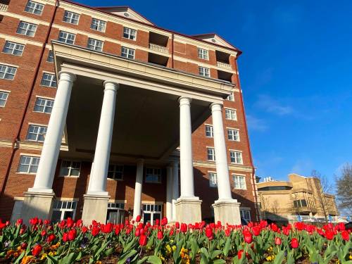 A brick building with columns and a blue sky, surrounded by vibrant tulips in the foreground.
