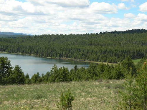 A serene landscape featuring a calm lake surrounded by lush green forests under a partly cloudy sky.