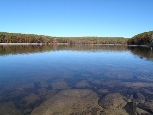 A calm lake reflecting clear blue skies, surrounded by trees with autumn foliage. Rocks are visible beneath the water.