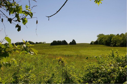 A serene landscape featuring rolling green hills under a clear blue sky, framed by lush foliage in the foreground.