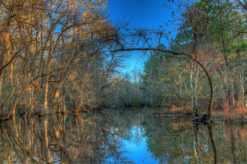 A serene river scene with trees arching over calm water, reflecting the blue sky and autumn foliage.