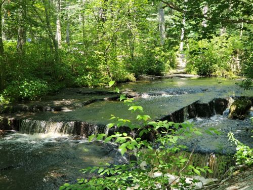 A serene stream flows over rocky ledges, surrounded by lush green trees and foliage in a peaceful forest setting.