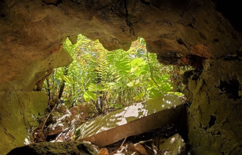 A view through a rocky opening, revealing lush green ferns and sunlight filtering through the foliage.