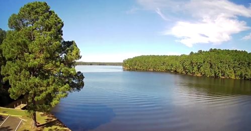 A serene lake surrounded by lush green trees under a clear blue sky, with gentle ripples on the water's surface.