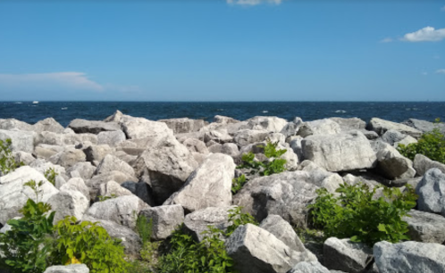 Rocky shoreline with scattered boulders and green plants, overlooking a calm blue sea under a clear sky.