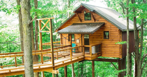 A wooden treehouse with a sloped roof, surrounded by lush green trees and connected by a wooden walkway.