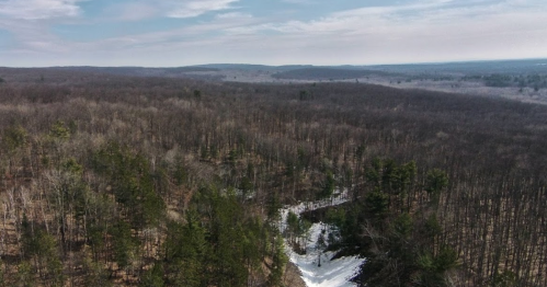 Aerial view of a snowy creek winding through a dense, leafless forest under a cloudy sky.