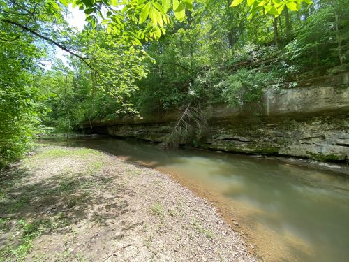 A serene riverbank surrounded by lush greenery and steep rock formations under a clear blue sky.