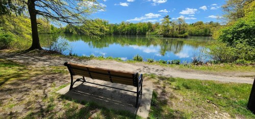 A serene lakeside scene featuring a wooden bench overlooking calm water and lush greenery under a blue sky.