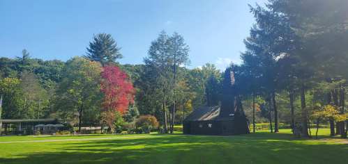 A scenic park with a wooden building, vibrant trees, and a clear blue sky in the background.