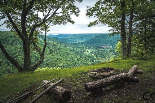 A scenic view of a lush green valley surrounded by trees, with logs stacked nearby and a cloudy sky above.