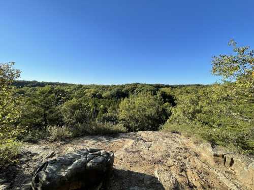 A rocky outcrop overlooks a lush green forest under a clear blue sky.