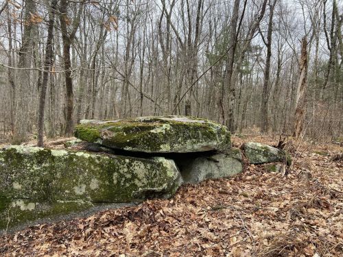 A moss-covered rock formation surrounded by bare trees and fallen leaves in a forested area.