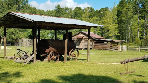 A rustic scene featuring an old steam engine under a shelter, surrounded by green grass and trees.