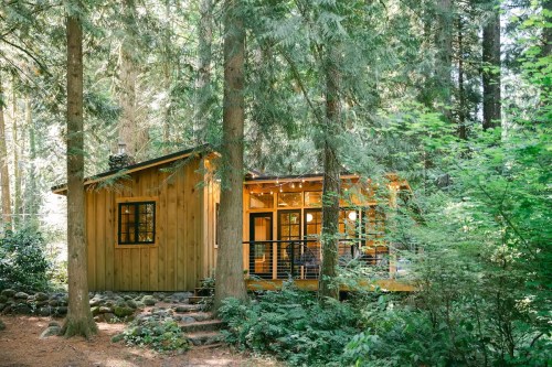 A cozy wooden cabin nestled among tall trees in a lush green forest.