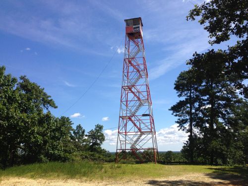 A tall red and white fire lookout tower stands against a blue sky, surrounded by green trees and open grassland.