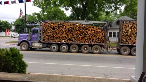 A purple logging truck loaded with stacked logs drives down a street lined with trees and buildings.