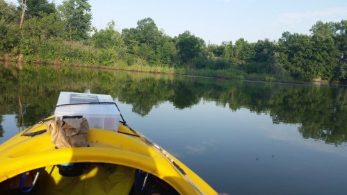 A yellow kayak on calm water, surrounded by lush greenery and trees reflecting in the water.