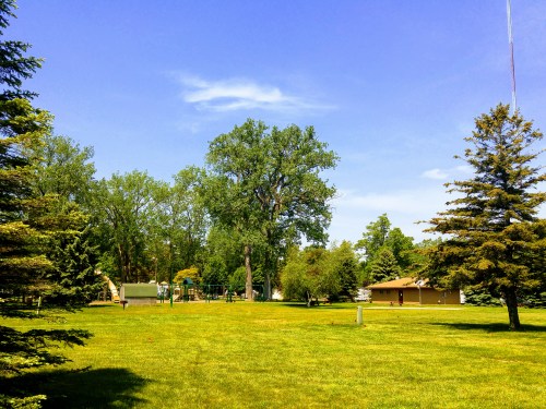A sunny park scene with green grass, tall trees, and a playground in the background under a clear blue sky.
