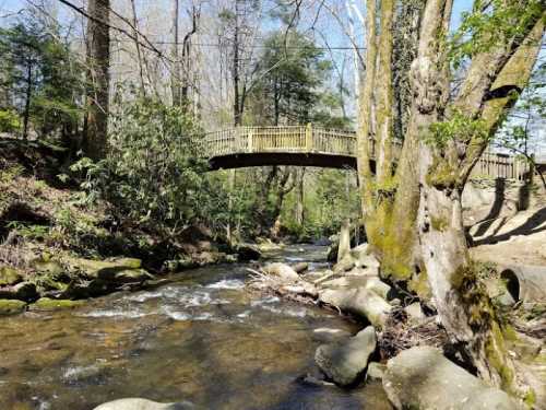 A wooden bridge spans a serene stream, surrounded by lush greenery and rocky banks under a clear blue sky.