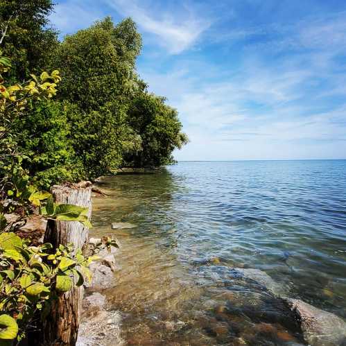 A serene lakeside view with lush greenery and calm water under a clear blue sky.