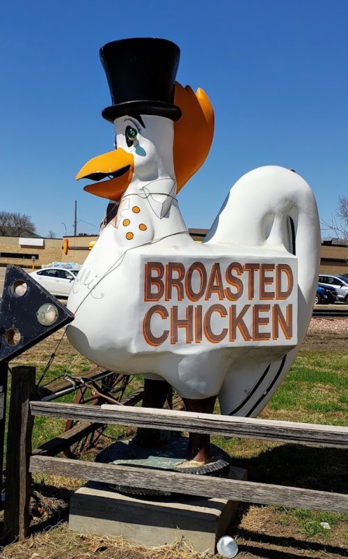A large, whimsical chicken statue wearing a top hat, promoting "Broasted Chicken" in a sunny outdoor setting.