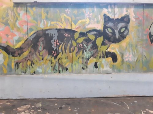 A colorful mural of a black cat walking through vibrant flowers and greenery on a wooden wall.