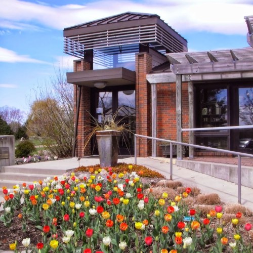 A modern building entrance with large windows, surrounded by colorful tulips and landscaped greenery under a blue sky.