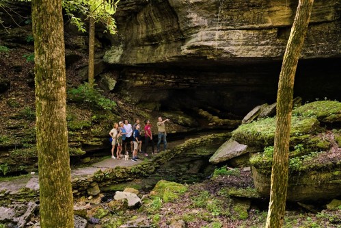 A group of hikers stands on a trail surrounded by lush greenery and rocky cliffs in a forested area.