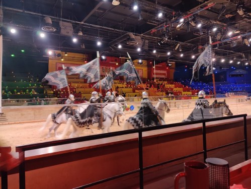 A medieval-themed show with knights on horseback waving flags in an arena filled with spectators.