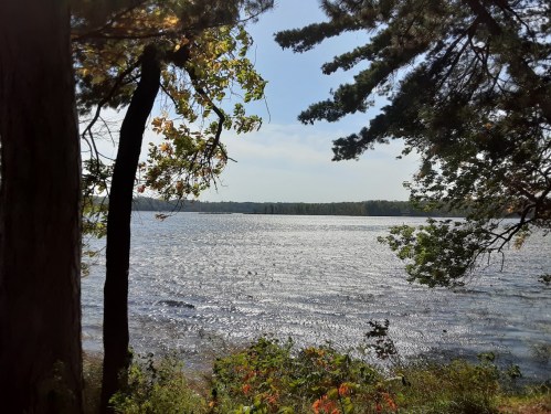A serene lake view framed by trees, with sunlight reflecting on the water and a clear blue sky above.