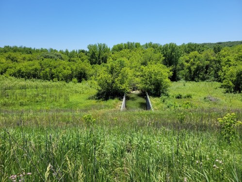 A lush green landscape with trees and tall grass, featuring a wooden bridge leading into the greenery under a clear blue sky.