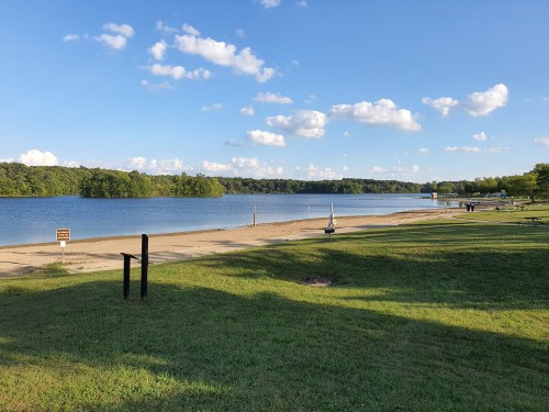 A serene lakeside view with a sandy shore, green grass, and fluffy clouds in a blue sky.