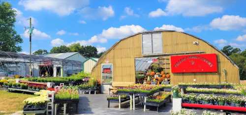 A vibrant garden center with colorful flowers, plants, and a large greenhouse under a blue sky with fluffy clouds.