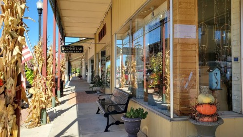 A charming storefront with fall decorations, including pumpkins and corn stalks, along a sunny sidewalk.