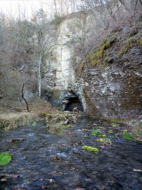 A serene stream flows past a rocky cliff with a cave entrance, surrounded by bare trees and mossy ground.