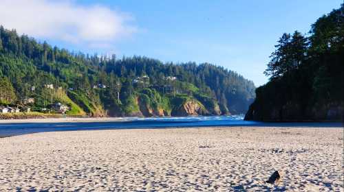 A serene beach scene with sandy shore, gentle waves, and lush green hills in the background under a clear blue sky.