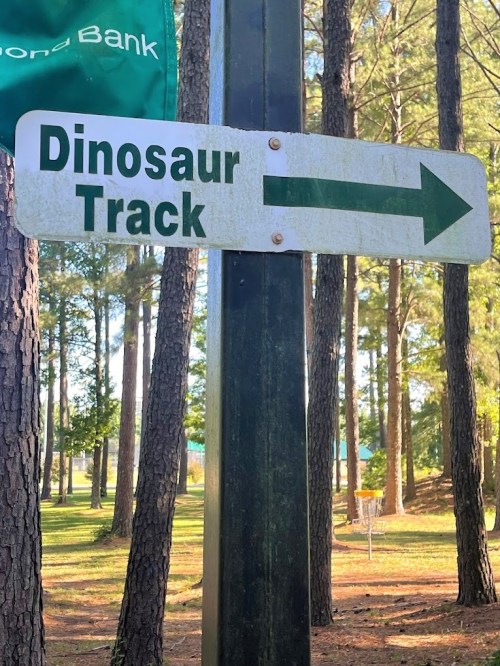 Sign pointing right towards "Dinosaur Track," surrounded by tall trees in a park setting.