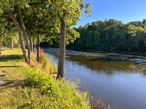 A serene river scene with trees lining the bank and calm water reflecting the blue sky.