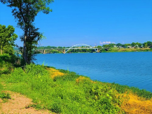 A serene river scene with green grass, trees, and a bridge in the distance under a clear blue sky.