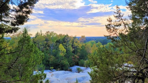 A scenic view of a forest with colorful trees under a cloudy sky, featuring rocky terrain in the foreground.