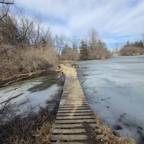 A wooden bridge leads across a frozen lake, surrounded by bare trees and a clear blue sky.