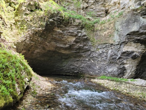 A serene stream flows through a rocky gorge, surrounded by lush greenery and steep stone walls.