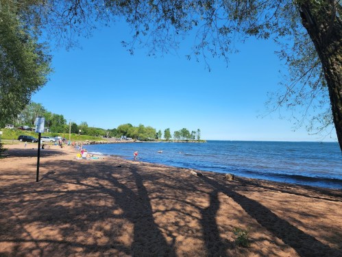 A sunny beach scene with people enjoying the water, trees casting shadows, and a clear blue sky.